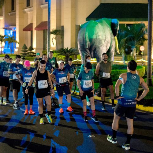 entrenamientos-calentamiento-trackfit-atlas